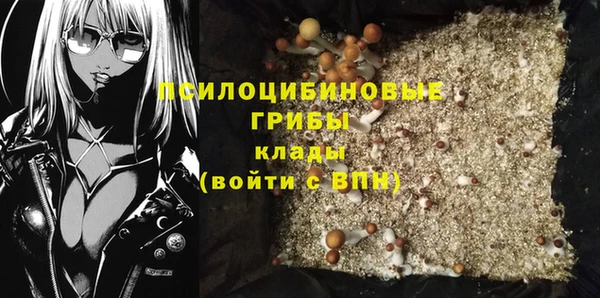 Альфа ПВП Ельня