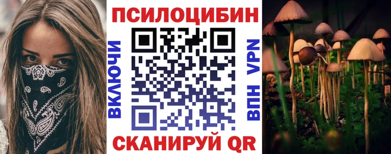 где купить наркотик  Тогучин  Псилоцибиновые грибы мицелий 